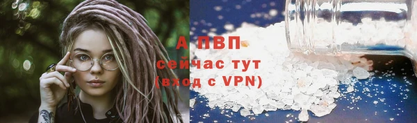 spice Белокуриха