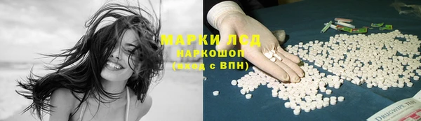 СК Беломорск